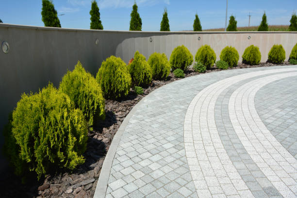 Best Best Driveway Pavers  in West Salem, WI